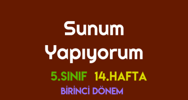 Sunum Yapıyorum – 14. Hafta