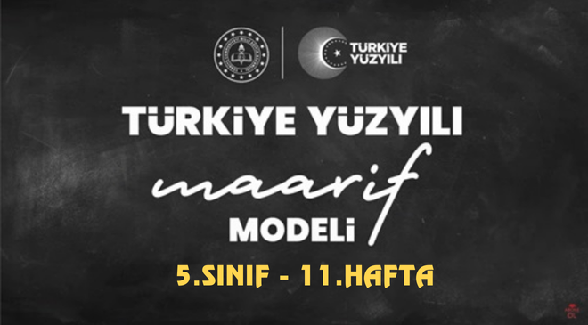 Sunum Programlarına Giriş – 11.Hafta